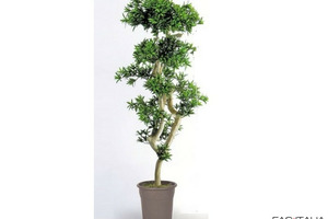 Podocarpus artificiale cm 180